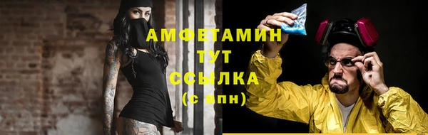 прущие грибы Верхний Тагил