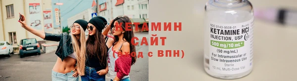 прущие грибы Верхний Тагил