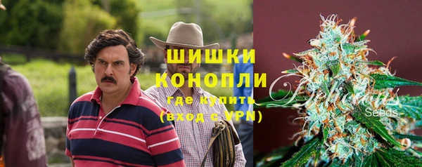 прущие грибы Верхний Тагил