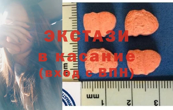 прущие грибы Верхний Тагил
