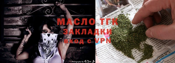 прущие грибы Верхний Тагил