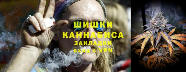 прущие грибы Верхний Тагил